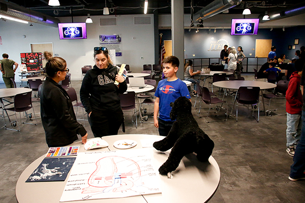Students look at a table with a display of a stuffed poodle and a heart diagram